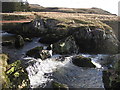 SN7889 : Rapids in the Afon Hengwm by Rudi Winter