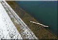 SY4692 : Weir at Palmers Brewery, Bridport by Nigel Mykura