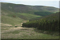 SS8994 : Forest edge to the north of Blaengarw by eswales