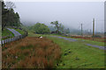 SH8339 : Trackbed east of Arenig station by Nigel Brown