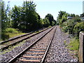 TM3877 : Along the tracks at Halesworth Railway Station by Geographer