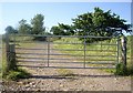  : Access to Wood of Fallside reservoir by Stanley Howe