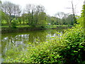 SO5213 : River Wye in spring by Jonathan Billinger