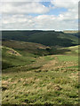 SS8494 : The valley around Nant Tryfal by eswales