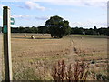 TM3458 : Footpath to Hoo Lane by Geographer