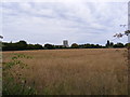 TM3763 : Saxmundham Water Tower & Saxmundham Middle School by Geographer