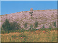 SD9871 : Crag with cairn in Upper Wharfedale by Stephen Craven