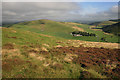 NT1642 : Rough grazing and heather on Hogg Hill by Walter Baxter