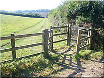  : Near Langley Lodge Farm by Colin Smith