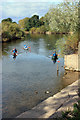 SO5924 : The Wye at Ross-on-Wye by Peter Church