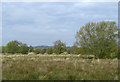 SJ9320 : River Penk flood plain near Stafford by Roger  D Kidd