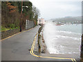 SX9372 : Marine Parade, Shaldon by Stephen Craven