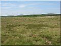  : Eglingham Moor by Richard Webb