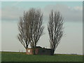 SK6236 : Tollerton Pillbox by Alan Murray-Rust