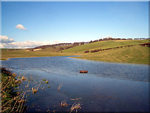  : The source of the Aldbourne by Des Blenkinsopp