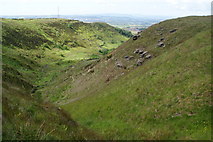  : A clough above Huncoat by Bill Boaden