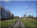 ST3782 : Road from the sea wall, near Elm Tree Farm, Goldcliff by John Lord