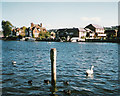 SU8585 : The Thames at Marlow, 1994 by john shortland