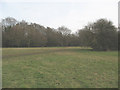 TQ2255 : The edge of Banstead Heath in Walton by Stephen Craven