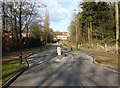 SP2566 : Traffic calming chicane on Charingworth Drive by David P Howard