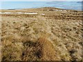 NS4875 : Remains of a boundary by Lairich Rig