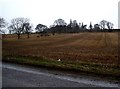 NJ7005 : View towards the church by Stanley Howe