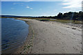 SY9888 : Beach to the south of Shipstal Point, Poole Harbour by Phil Champion