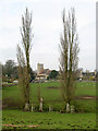 SP5809 : Poplars and church, Stanton St John by Stephen Craven