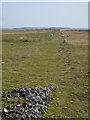 NZ0507 : Footings of a former wall on How Tallon Ridge by Matthew Hatton