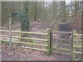 SK2935 : Footpath through grounds of Radbourne Hall next to Radbourne Lane, Derbyshire by Eamon Curry