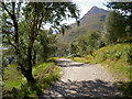 NN1763 : West Highland Way the last lap by Alan Reid