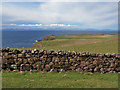 NG2365 : Towards Waternish Point by Richard Dorrell