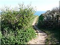 SX8748 : South West Coast Path near to Little Dartmouth by Robin Drayton