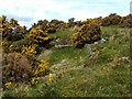 NS3678 : Pit from former limestone quarrying by Lairich Rig