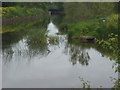 SP0647 : Heron in the reeds, Offenham Park by Bill Johnson