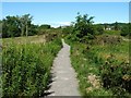 NS3976 : Footpath beside the River Leven by Lairich Rig