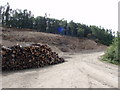  : Forestry Workings at Craig yr Aber by John Finch