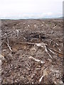  : Cleared Timber on Margam Mountain by John Finch