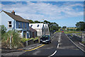 J5278 : The Ballycrochan Road, Ballygrainey by Rossographer