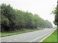 SJ5010 : View along B4380 looking towards Weeping Cross by John Firth