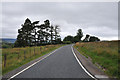  : B862 near Glebe by Steven Brown