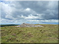 NS6735 : Dungavel Hill by Iain Russell