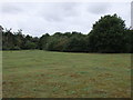 TM0419 : Heathland at Fingringhoe Wick Nature Reserve by PAUL FARMER