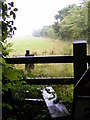 TM4165 : Footpath stile on the footpath to Honeypot Lane by Geographer