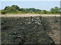 NS3178 : Remains of a quay by Lairich Rig