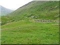 NN8332 : Glen Almond, from the Conichan burial ground by M J Richardson