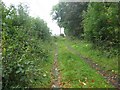 NT2660 : Footpath between Rosslynlee Hospital and Firth Mains by Dr Duncan Pepper