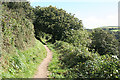 SX1351 : Lanteglos: path to Pont Pill by Martin Bodman