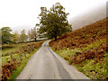 NY2904 : The road near Blea Tarn (set of 2 images) by Andy Beecroft