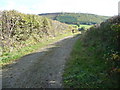 SO4585 : Metal barrier across this forestry track by Jeremy Bolwell